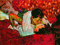 the kiss